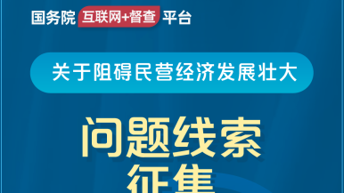 www。19操逼视频国务院“互联网+督查”平台公开征集阻碍民营经济发展壮大问题线索